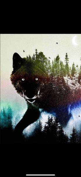 The Wolfs Den